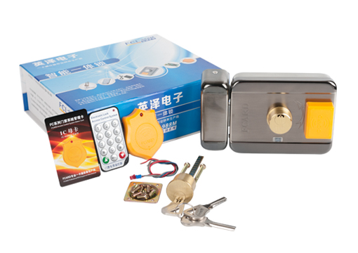 Electric Door Lock